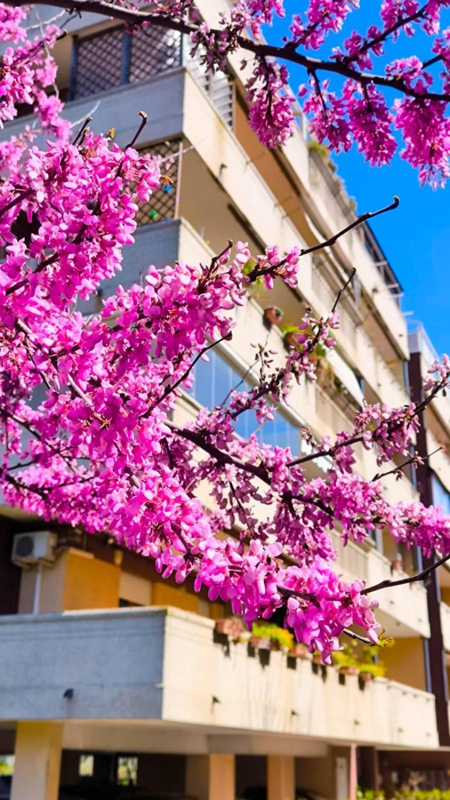 Rome Sweet Home Vitinia Zewnętrze zdjęcie