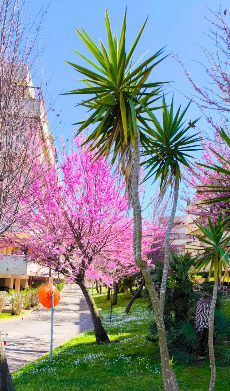Rome Sweet Home Vitinia Zewnętrze zdjęcie
