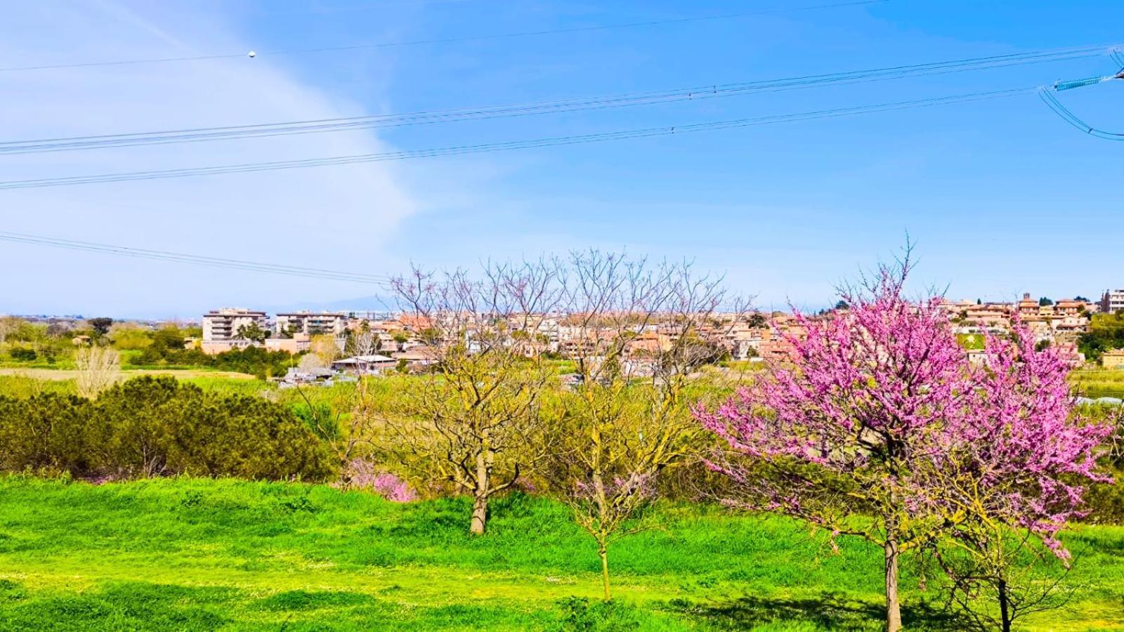 Rome Sweet Home Vitinia Zewnętrze zdjęcie